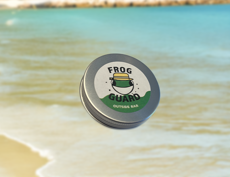 Frog Guard on a beach with ocean waves in the background